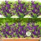 12-Bundle Artificial Outdoor Flowers – UV-Resistant Faux Eucalyptus Plants for Spring Garden, Hanging Planters, Vases, and Home Decor (Purple)